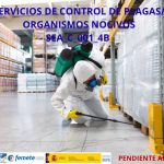 SEA_C_001_4B Servicios de control de plagas/organismos nocivos