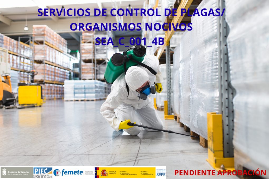 SCE Plagas SCE Plagas