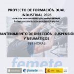 Itinerario de mantenimiento de dirección suspensión y neumáticos